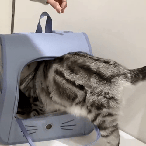 Sac à dos pour Chat – Fenêtre Panoramique | Confort & Voyage
