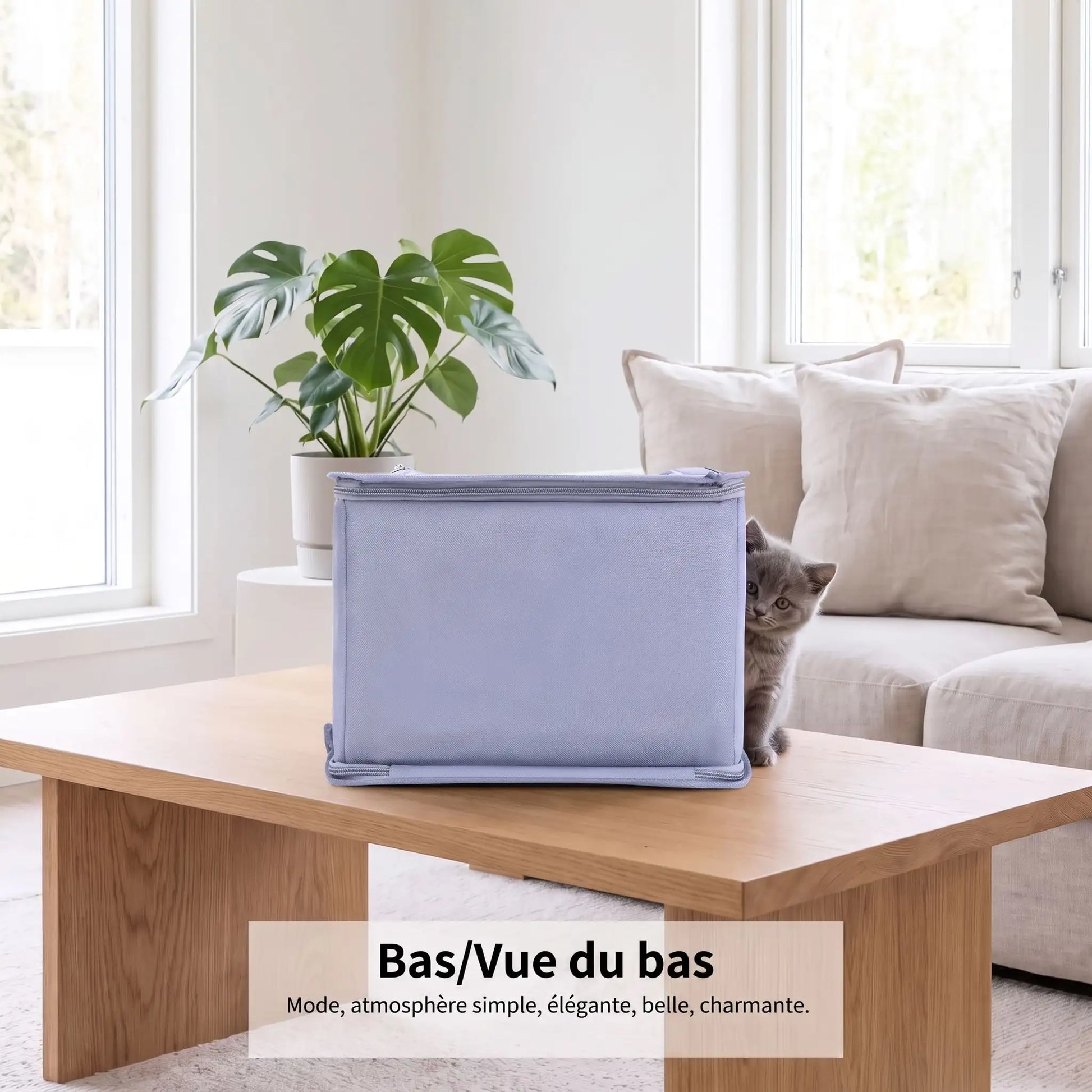 Sac à dos pour chat – vue du bas et stabilité