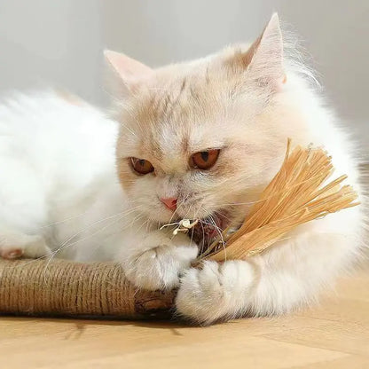 Jouet à macher pour chat