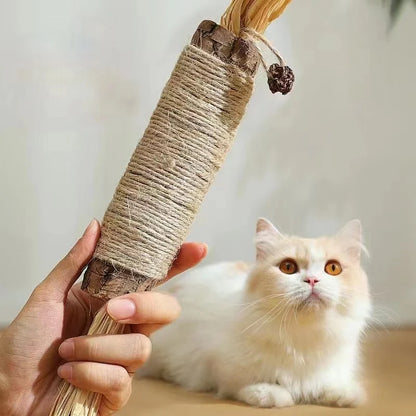 Jouet à macher pour chat