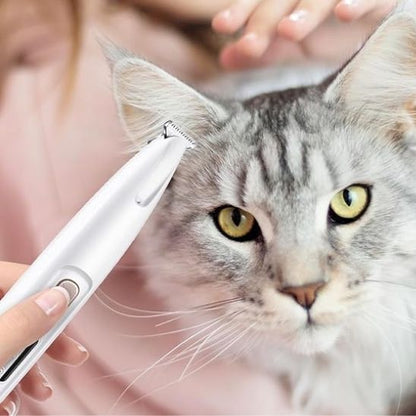Tondeuse pour chat