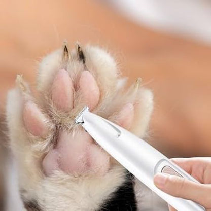 Tondeuse pour chat