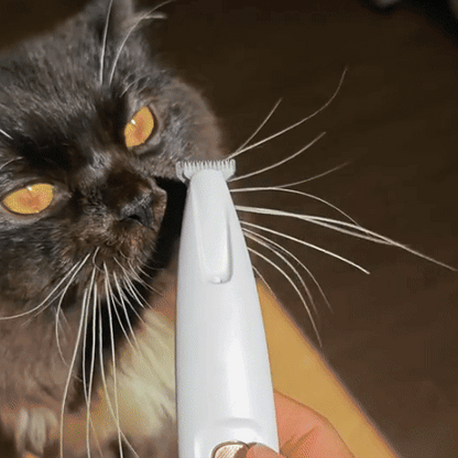 Tondeuse pour chat