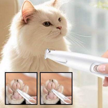 Tondeuse pour chat