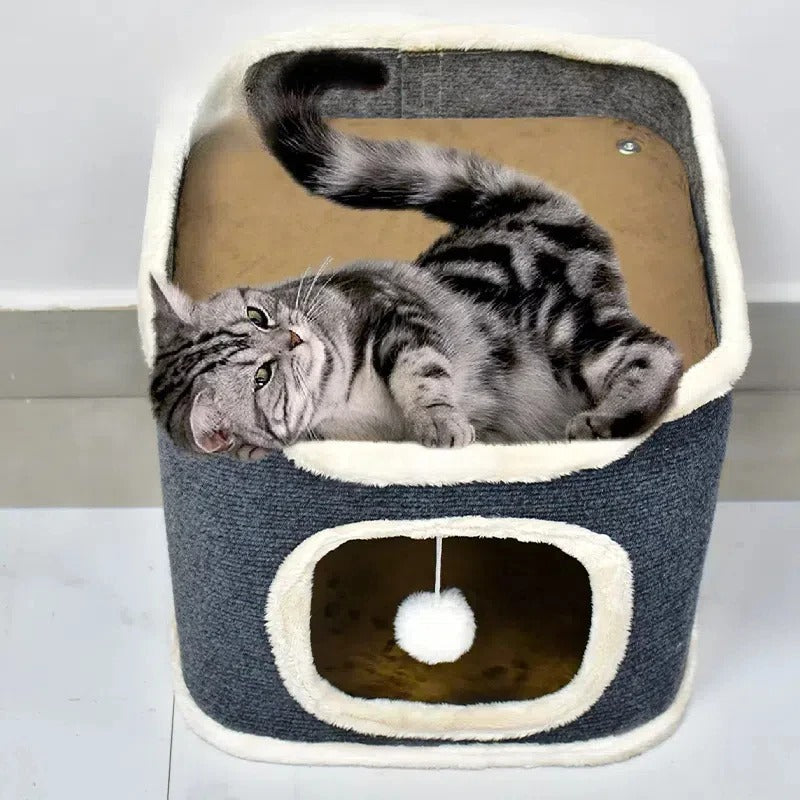 Arbre à Chat | Multifonction