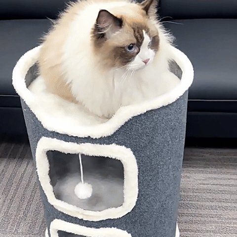 Arbre à Chat | Multifonction