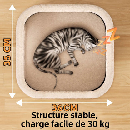 Arbre à Chat | Multifonction