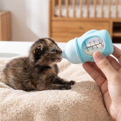 Biberon chaton​ 