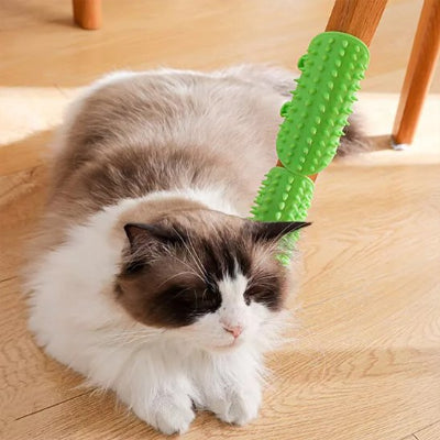  Chat blanc et gris allongé au sol se frottant contre une brosse en silicone verte fixée à un pied de chaise en bois