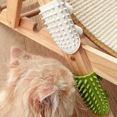 Chat roux se frottant contre une brosse verte fixée au pied d'un arbre à chat, sous une brosse blanche
