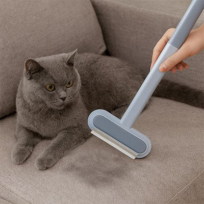 Brosse anti poil nettoyant un canapé recouvert de poils de chat