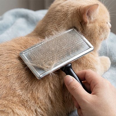 Brosse pour retirer les nœuds et les poils morts du chat
