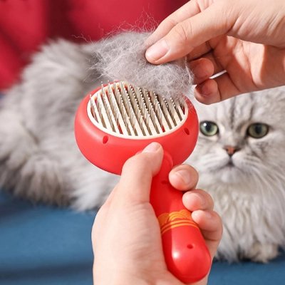 Brosse anti-mue rouge MueZen à picots métalliques, avec une touffe de poils gris retirée devant un chat gris à poil long aux yeux verts