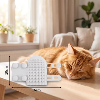 Brosse à chat blanche en silicone posée sur une table, avec ses dimensions de 16 cm sur 10 cm et un chat roux endormi derrière