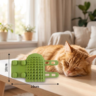 Brosse à chat verte en silicone posée sur une table, avec ses dimensions de 16 cm sur 10 cm et un chat roux endormi en arrière-plan