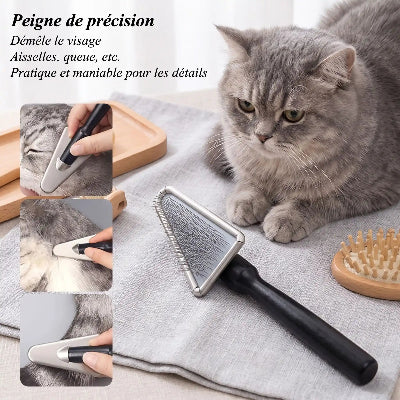 Chat tigré gris à côté d'une brosse à tête en métal et poignée noire antidérapante

