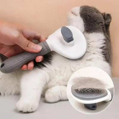 Une main tient de près une brosse de toilettage blanche et grise pour chat