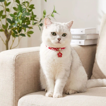 Chat blanc assis portant un collier japonisant – style épuré et raffiné
