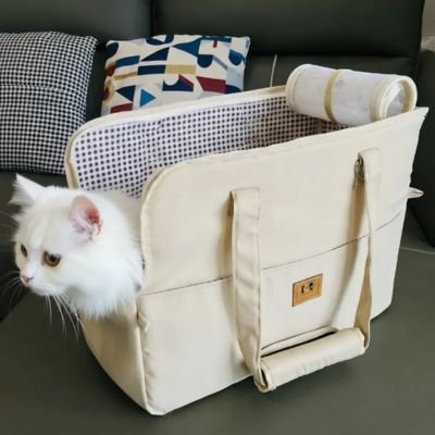 Chat sac de transport 