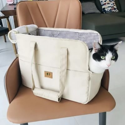 Chat sac de transport 