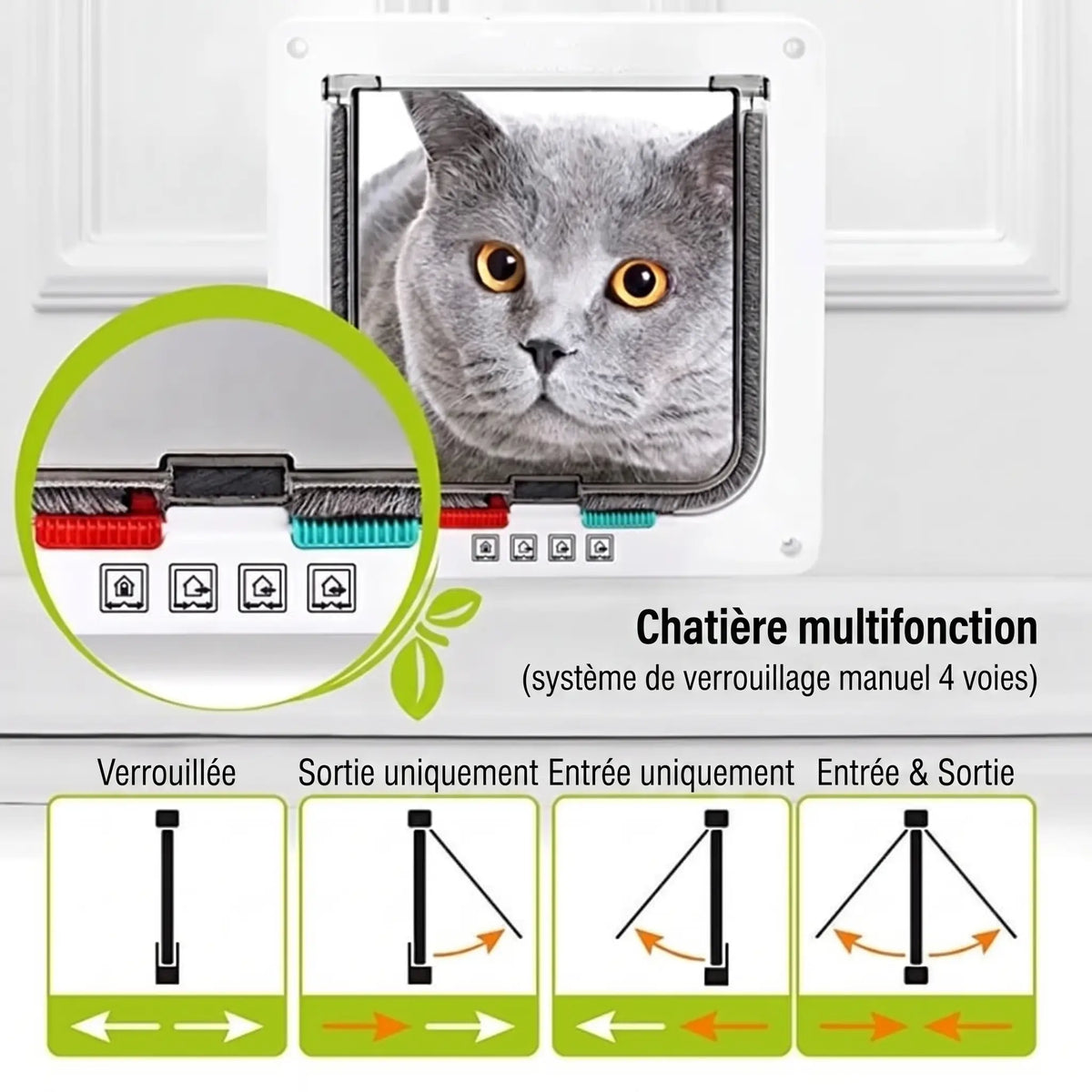 Chatière blanche multifonction pour chat avec verrouillage 4 voies et battant transparent