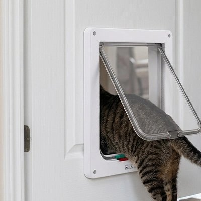 Gros plan sur le battant transparent d'une chatière blanche – chat tigré en train de passer