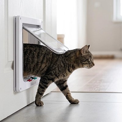 Chat tigré passant librement à travers une chatière transparente fixée sur porte blanche – vue de côté