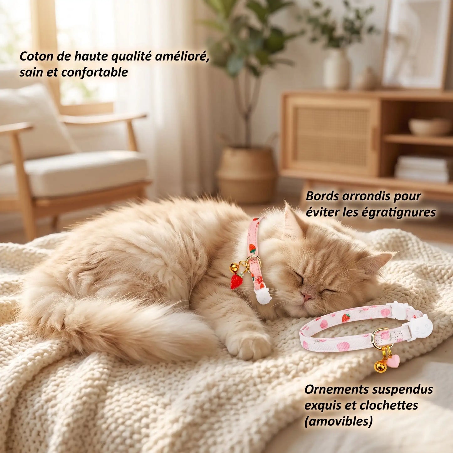 Collier Chat | Élégant & Sécurisé