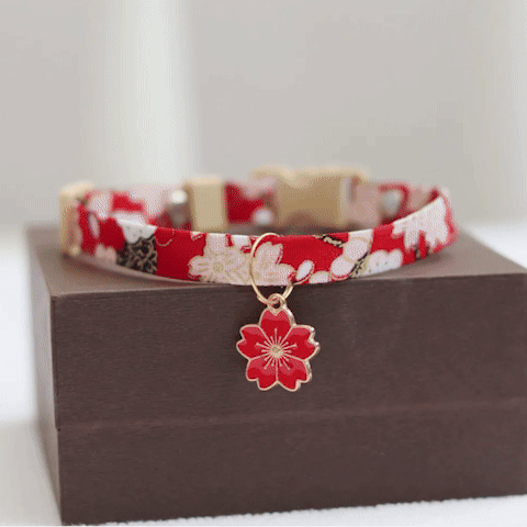 Collier pour chat fleuri rouge et blanc – détail breloque sakura dorée
