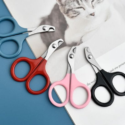 Ciseaux coupe-griffe chat professionnels sur fond blanc
