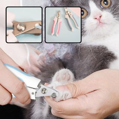 Coupe-griffes blanc et bleu utilisé sur la patte d’un chat gris et blanc, avec deux encadrés montrant la lame et les modèles rose et bleu