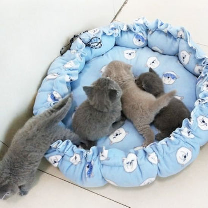 coussin chat
