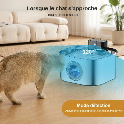 Chat s’approchant d’une fontaine à eau en inox, avec illustration de la zone de détection à 120° qui déclenche l’écoulement de l’eau