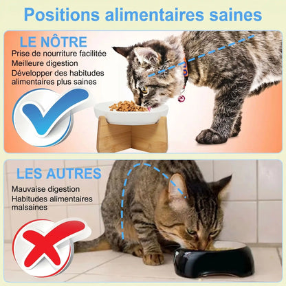 Gamelle anti glouton chat | Digestion Optimale