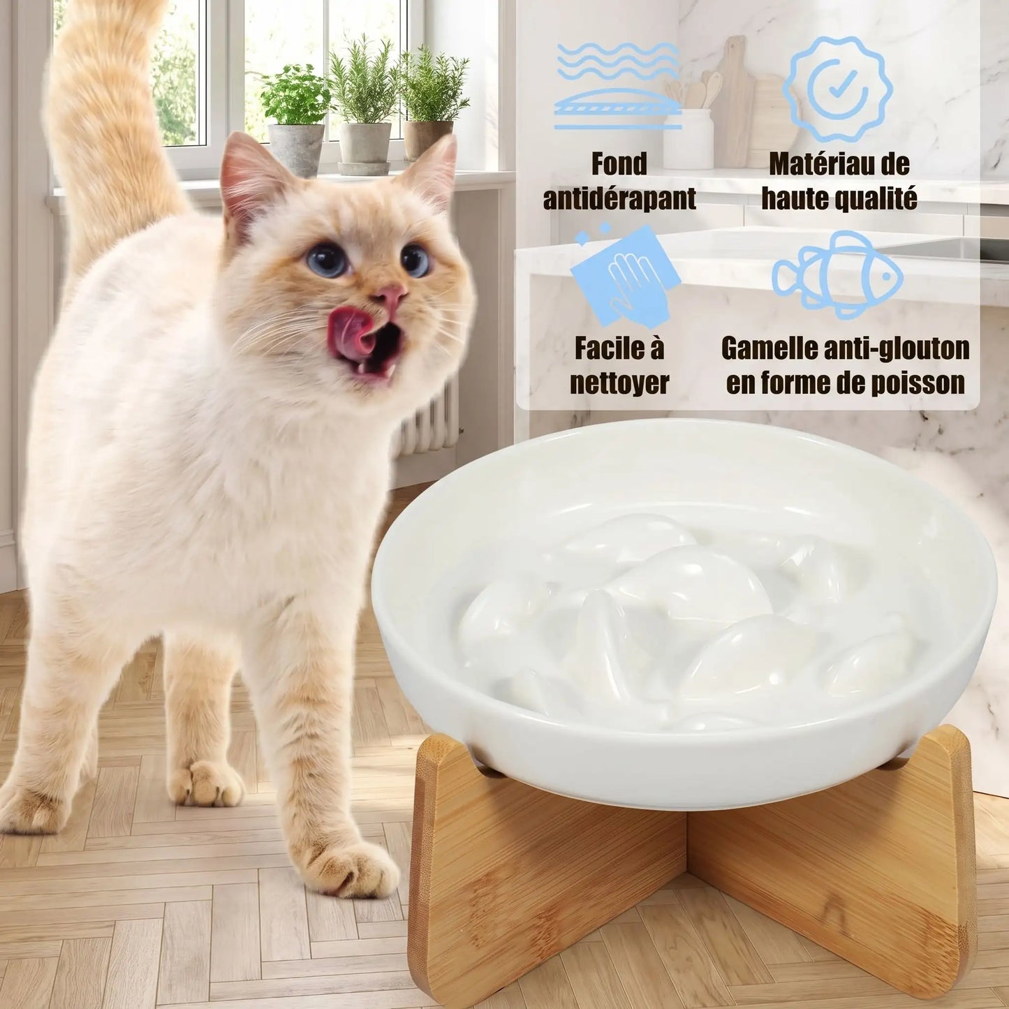 Gamelle anti glouton chat | Digestion Optimale