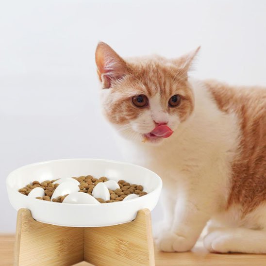 gamelle-anti-glouton-chat
