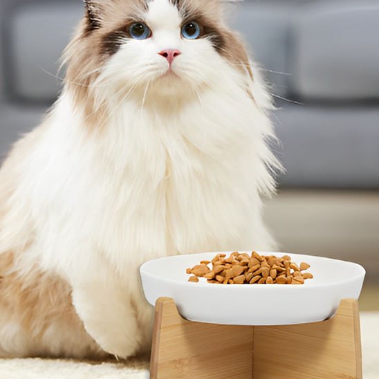gamelle-anti-glouton-chat