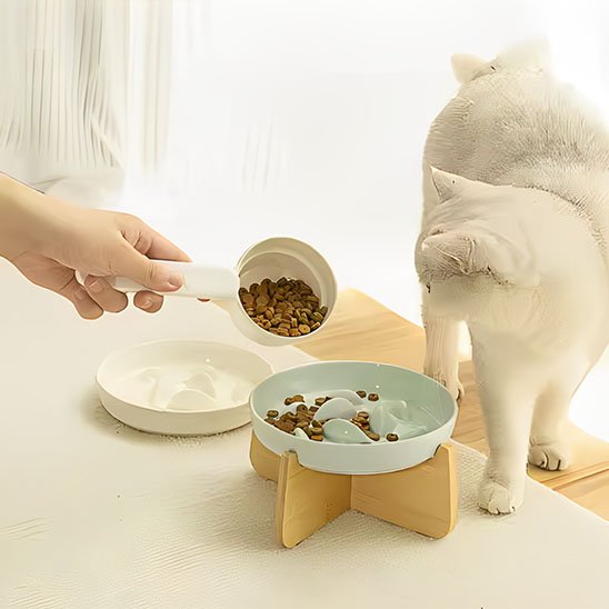 gamelle-anti-glouton-chat
