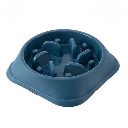 Gamelle de nourriture lente pour chat - Boutique Misha