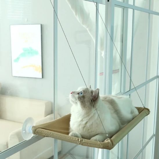 Fixation ventouse hamac chat sur baie vitrée sans perçage