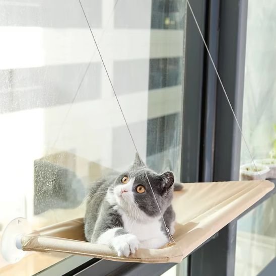 Hamac chat fenêtre à ventouses installé sur vitre de salon