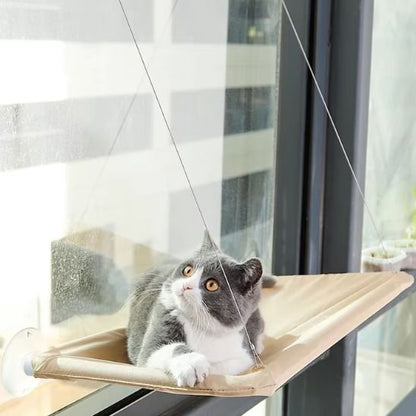 Hamac chat fenêtre à ventouses installé sur vitre de salon