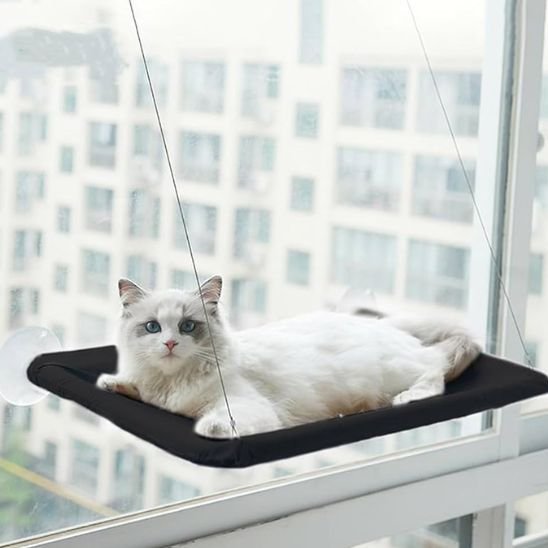 Chat installé dans son hamac de fenêtre à ventouses, vue extérieure
