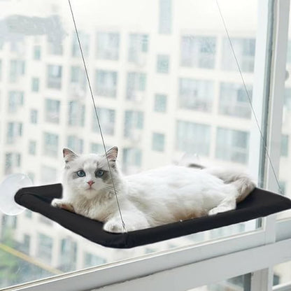 Chat installé dans son hamac de fenêtre à ventouses, vue extérieure