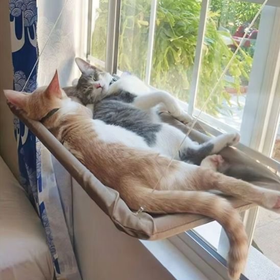 Détail tissu résistant et câbles réglables du hamac chat fenêtre