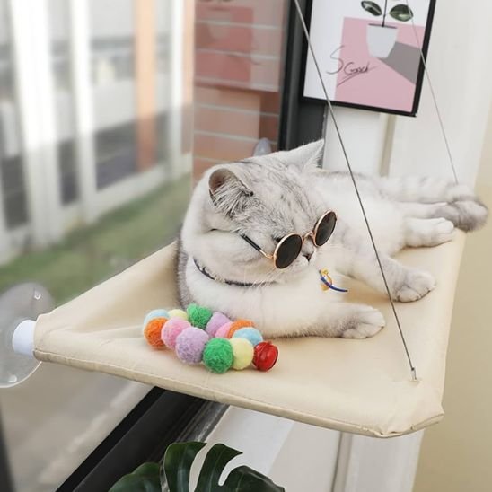 Hamac chat fenêtre en situation dans un intérieur moderne