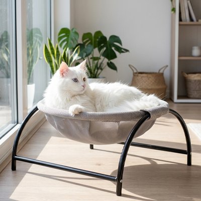 hamac-chat