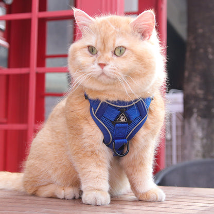 Harnais chat | Aventure Confort