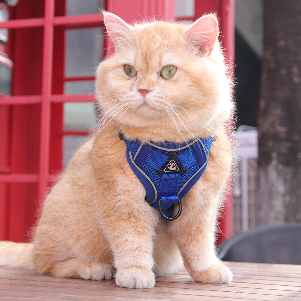 Harnais chat | Aventure Confort