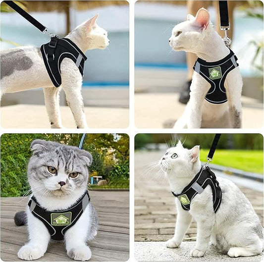 Harnais pour Chat | Sécurity Reflex